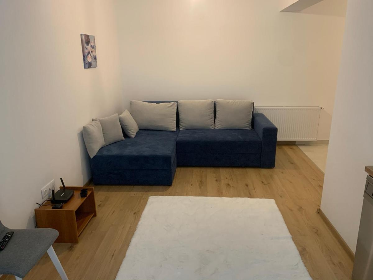 Ioana Home 普洛耶什蒂 外观 照片